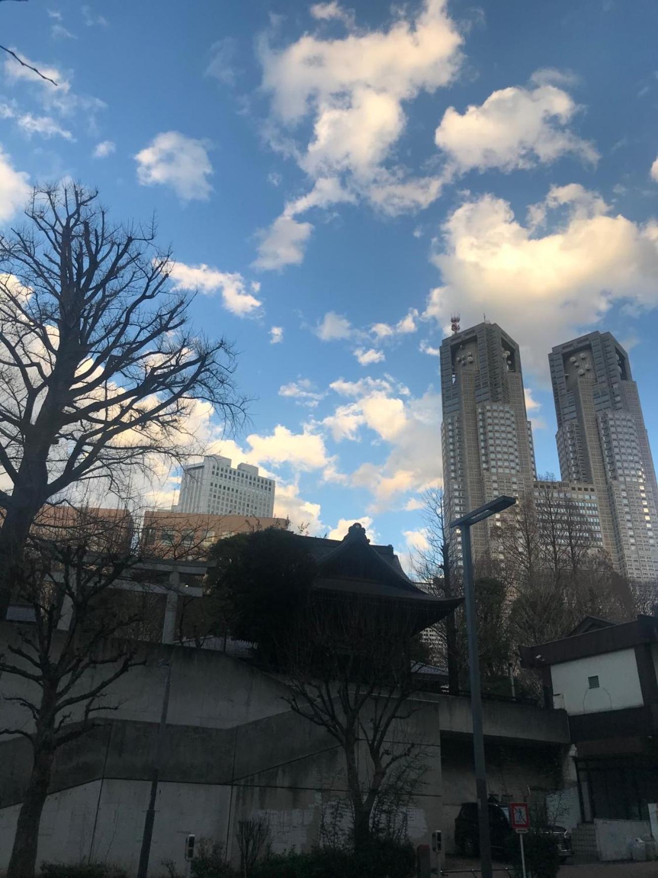 Tokyo Shinjukutei Hotel Asahi Gruop 東京新宿亭ホテル Exterior foto